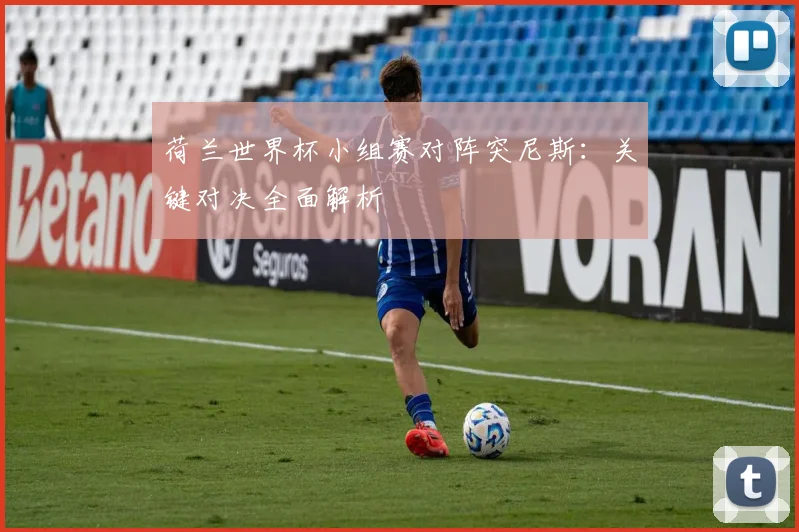 荷兰世界杯小组赛对阵突尼斯:关键对决全面解析